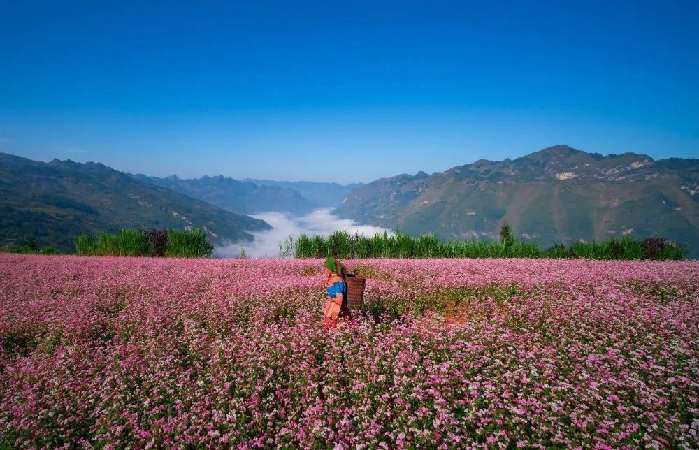 Chin Khoanh Pass Chin Khoanh Pass