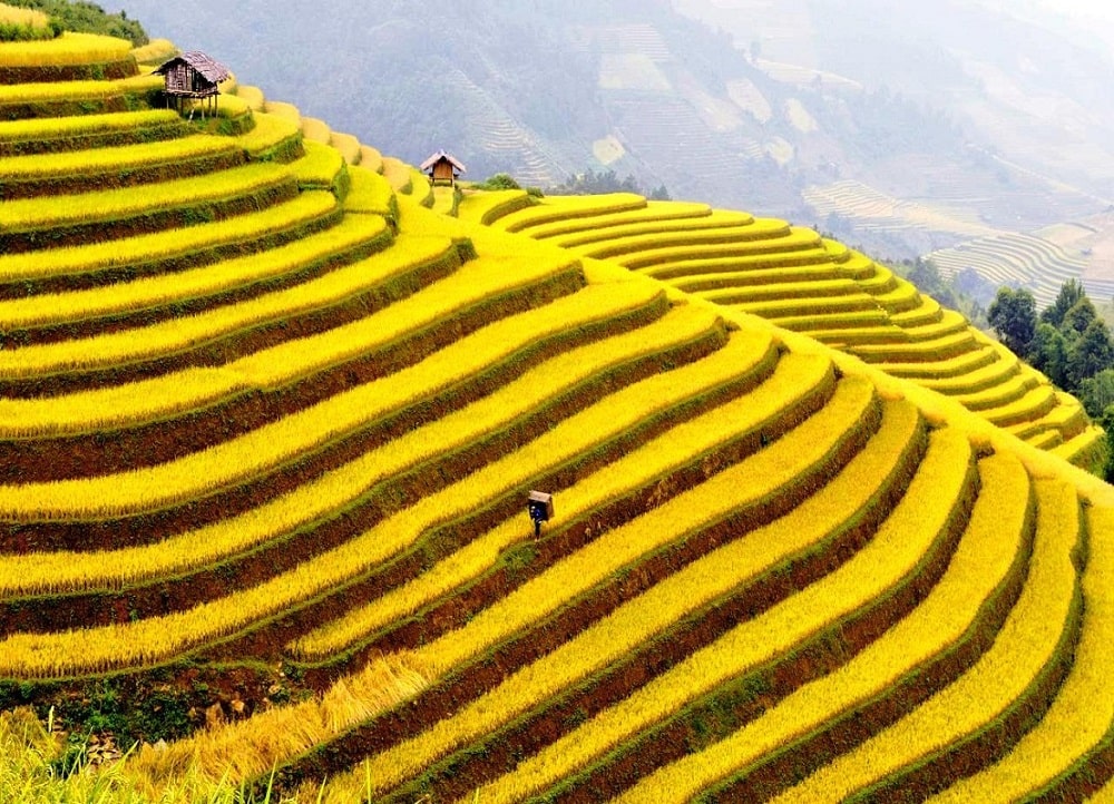 h'mong ethnic minority h'mong ethnic minority