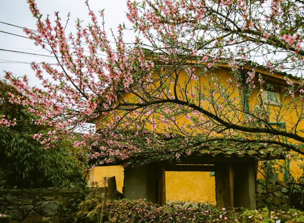 Lo Lo Chai Village
