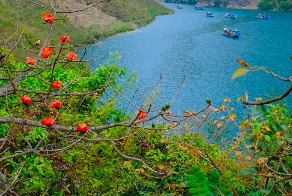 Lo Lo Chai Village